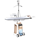 Hometech Steam Ironing and Cloth Cleaning Mechine 0671