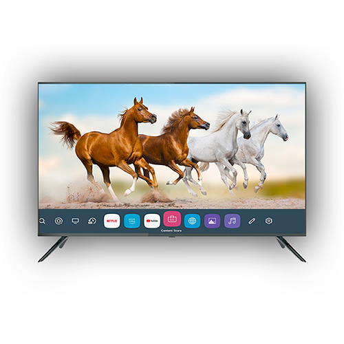 Hometech 50-Inch Screen