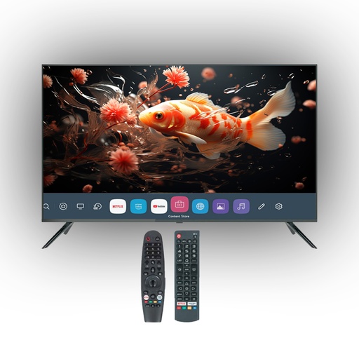 [773] Hometech 70 Inch Screen 4K70FZ